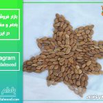 تولید بادام درختی در ایران