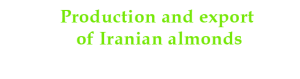 Production and export of Iranian almonds